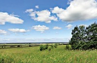 купить участок в ломоносовском районе купить участок в ломоносовском районе