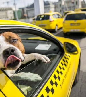 Такси для перевозки животных